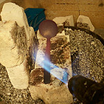 Annealing